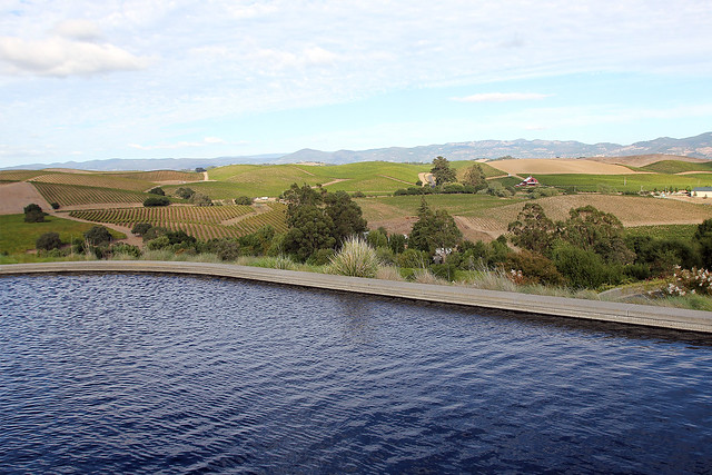 View from Artesa Winery