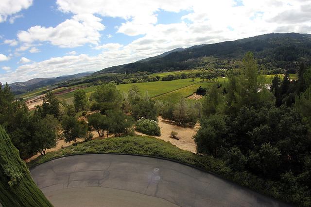 Looking out from the Sterling Patio