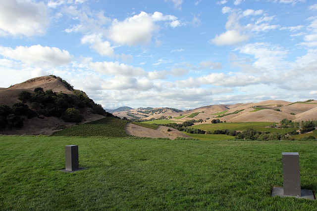 View from Artesa Winery