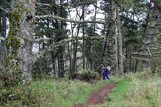 Hiking - Hiking around