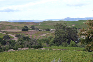 frame - Ok, one last shot from Artesa Winery