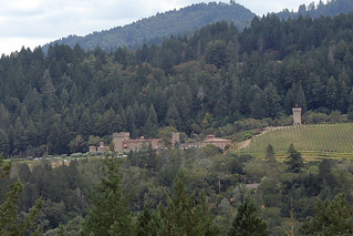 Looking toward Castello di Amorosa from the Sterling Gondola