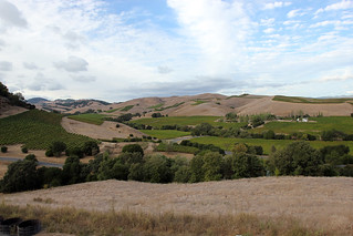 View from Artesa Winery