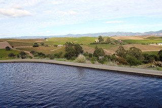 View from Artesa Winery