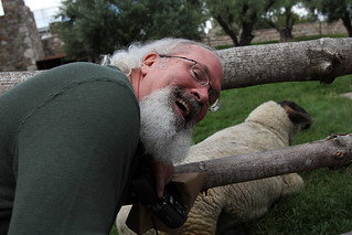 Take my picture with this sheep