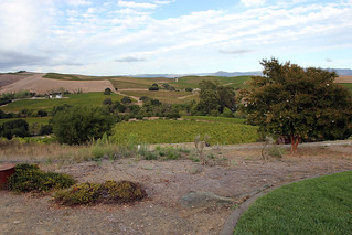 One more shot from Artesa