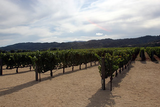 Robert Mondavi Vineyards