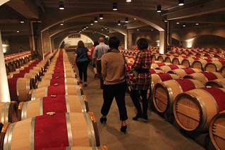 Walking back through the cellar