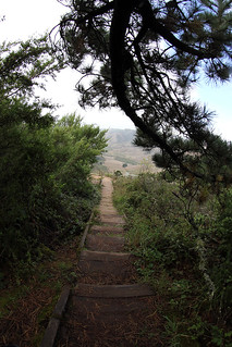 Hiking - Path