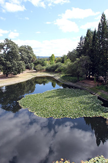 From the Sterling Gondola
