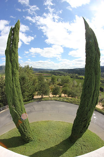 Looking out from the Sterling Patio
