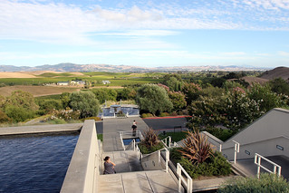 View from Artesa Winery