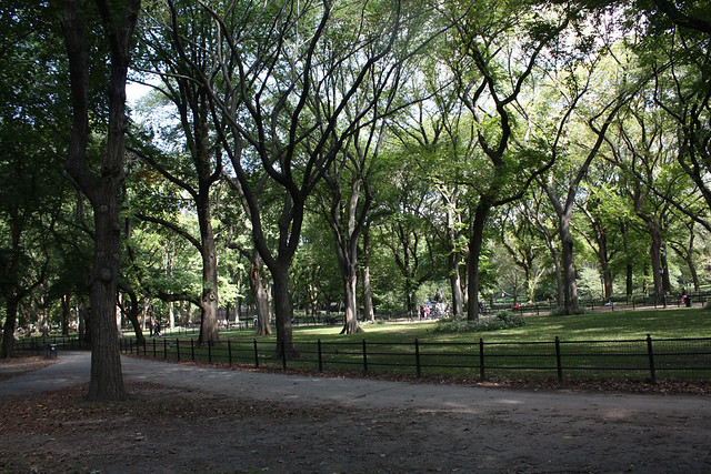 Central Park