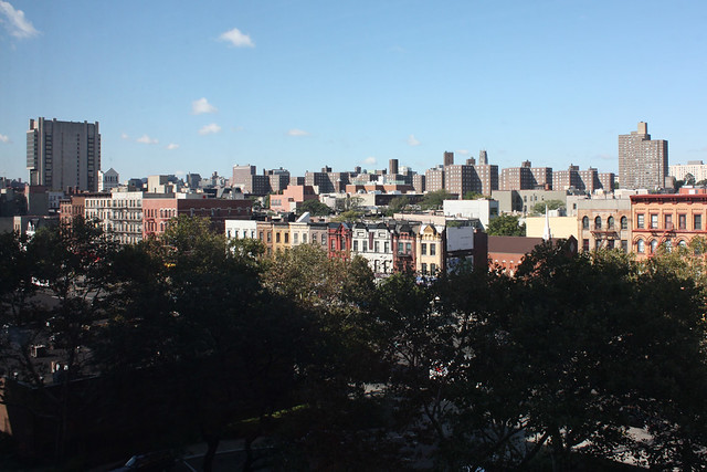 The view from Joe and Eve's