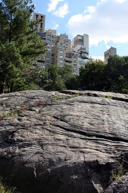 Rock in Central Park