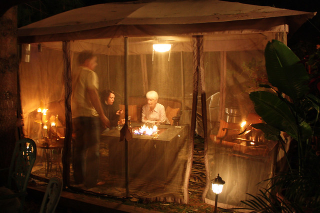 Hanging out in dad's back yard