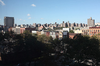 Skyline - The view from Joe and Eve's