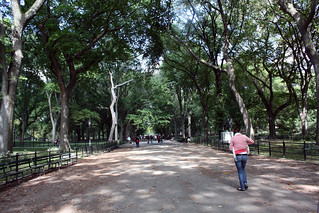 South Central Park