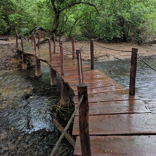 Hiking - Apparently following this trail takes us to a yoga class
