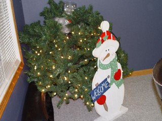 Kevi found Christmas stuff and set it up