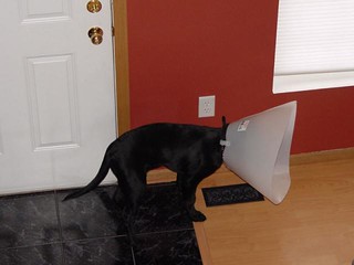 Ninja stayed in this position for like 10 minutes