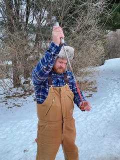 Covid-19 - This should work