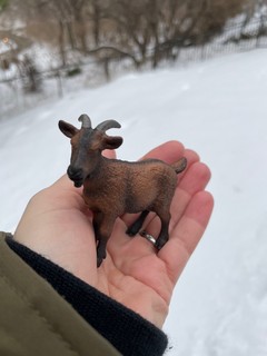 Bock Fest - Hiding the bocks