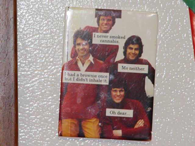 I never smoked cannabis.  Me Neither.  I had a brownie once but I didn't inhale it.  Oh dear...