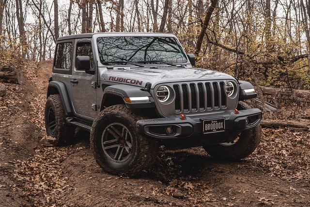 The swervin silver squirrel