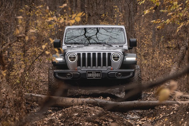 The slitherin silver snake