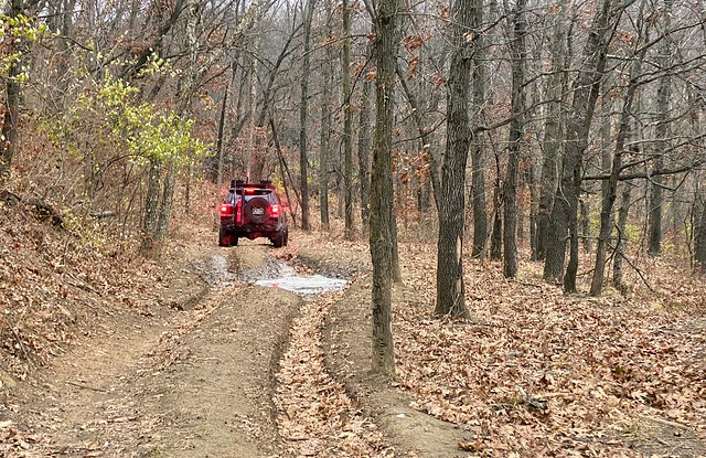 It's pretty back here