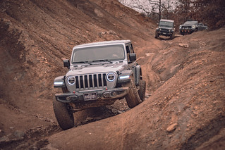 frame - Swamp scented silver stomper