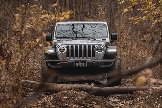 The slitherin silver snake