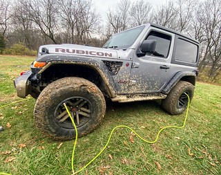 The silverback warthog