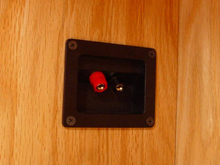 House - The speaker terminals I installed in the shelf