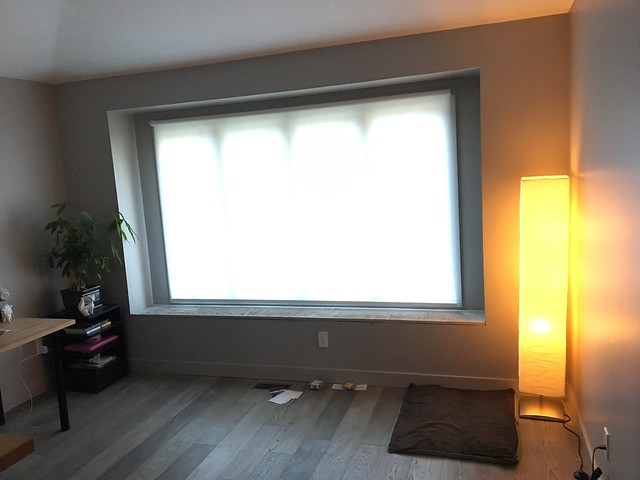 Got shades. Can now feel better about working in my underwear.