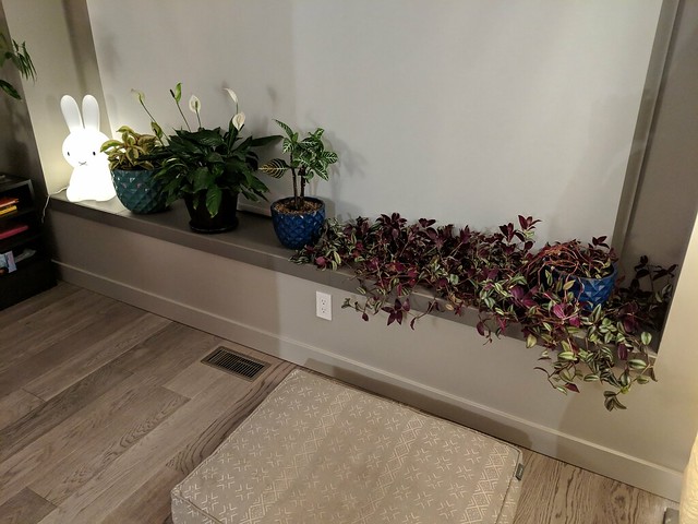 and Immediately filled with plants...
