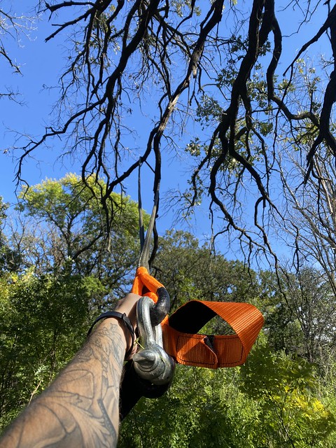 The oak trees around us had tons of dead branches. Pullin down small ones for the fire