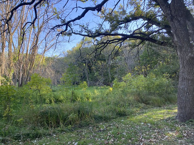 The area behind our campsite