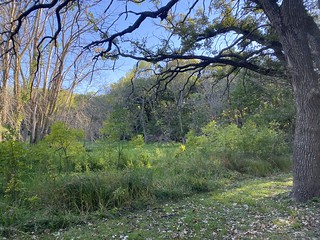 The area behind our campsite
