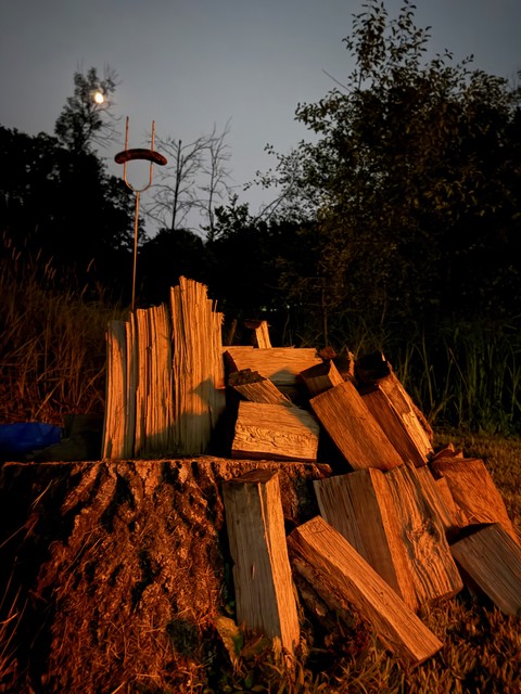 An offering to the night