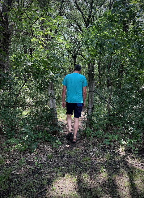 Moseying toward the beach