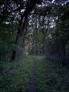 Travel - Hikin at Dusk