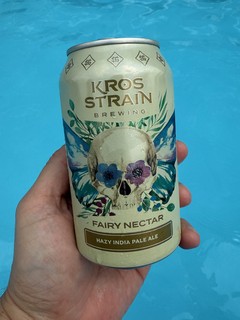 Travel - A tasty pool beer