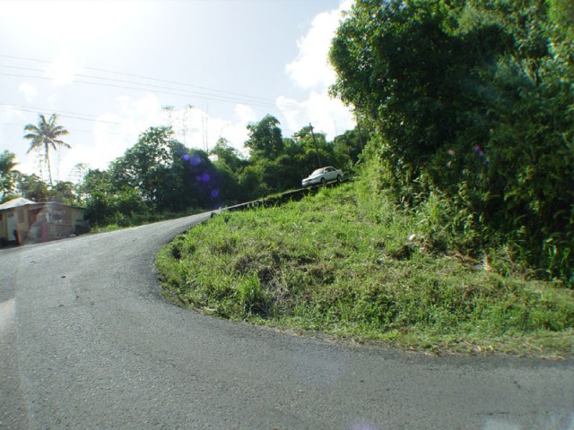 The narrow winding roads in the mountains.  There should be a Gran Turismo level called St Lucia