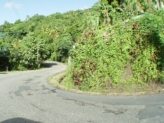 More winding roads in St Lucia