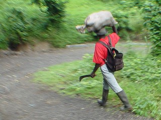 There were guys walking around with mechates everywhere, it is crazy, haha.