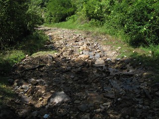 Flowing water running down the trail - one of the places we got stuck