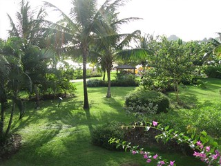 Looking out from our balcony
