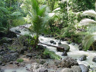 The water was pretty crazy from all the rain